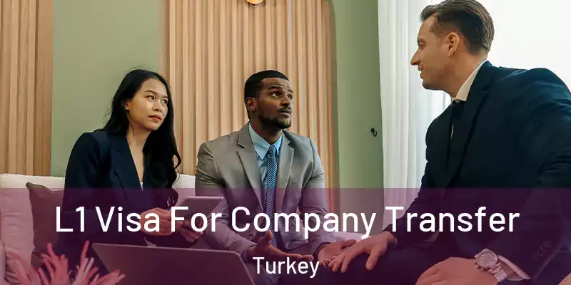  L1 Visa For Company Transfer Turkey