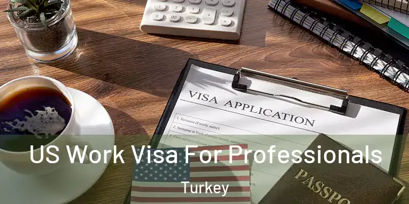  US Work Visa For Professionals Turkey